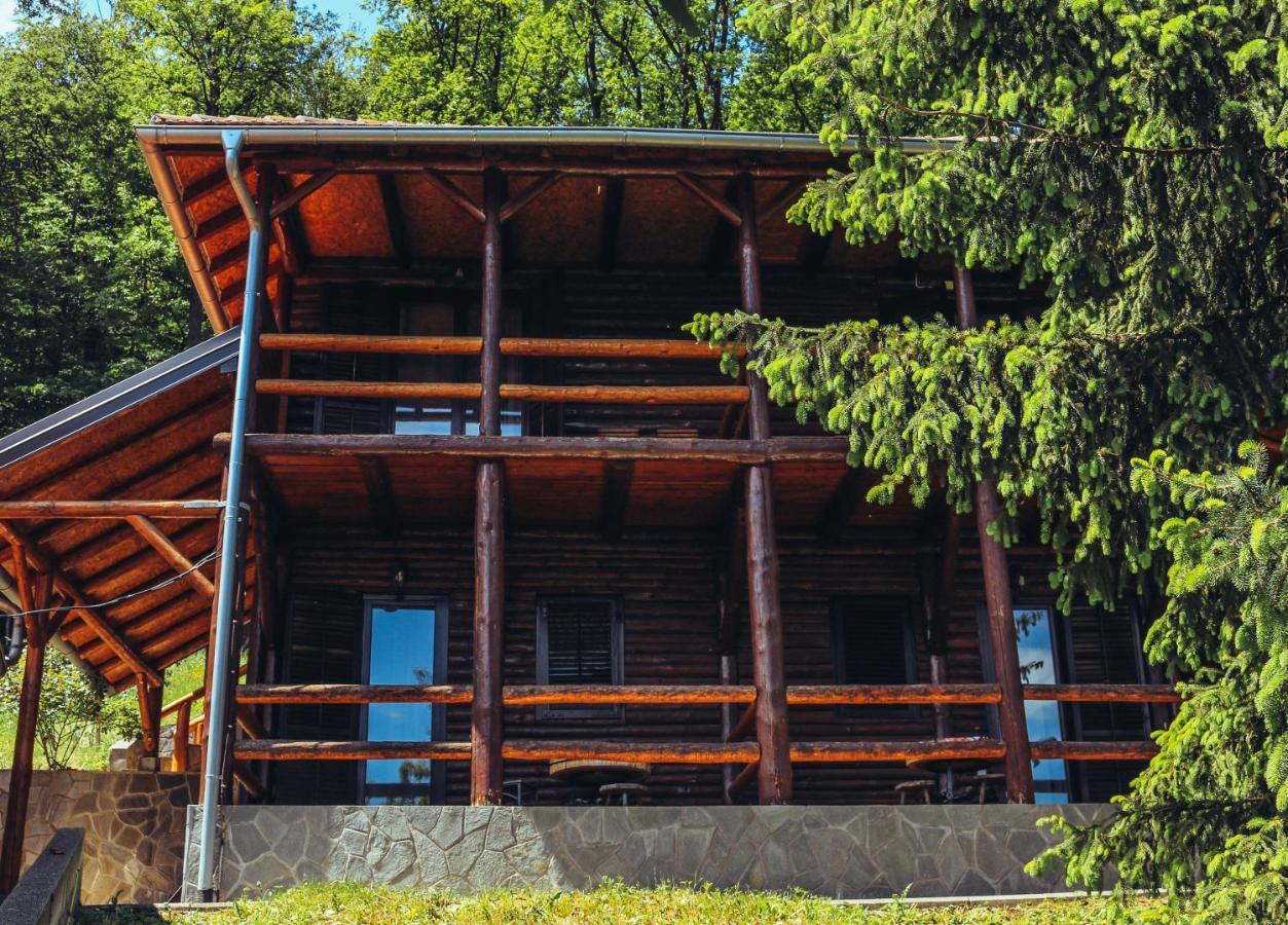 Etno Domacinstvo Milenkovic Villa Despotovac Exterior foto