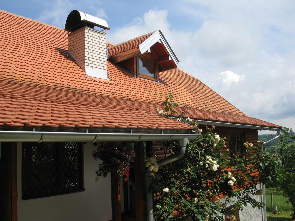 Etno Domacinstvo Milenkovic Villa Despotovac Exterior foto